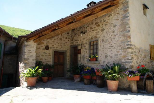 Photos for house 510565