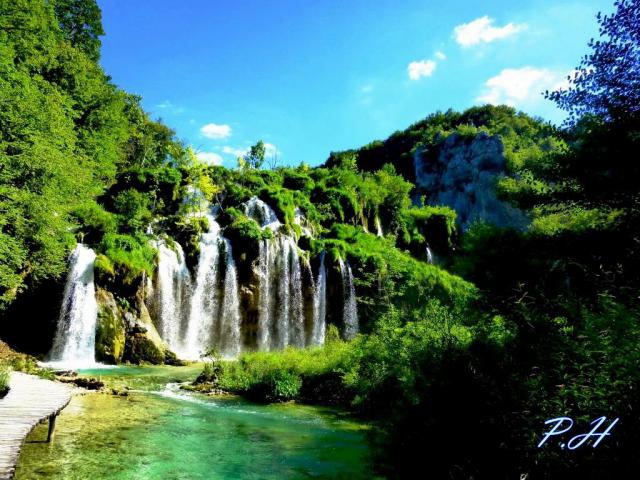 Photos for house 510614