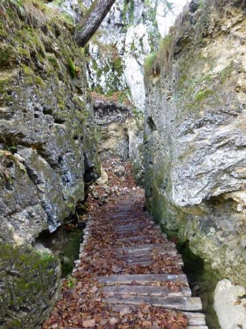 Photos for house 510614