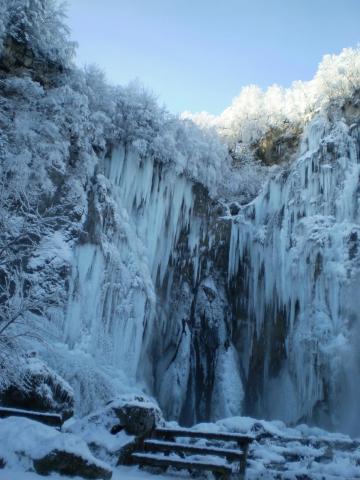 Photos for house 510614