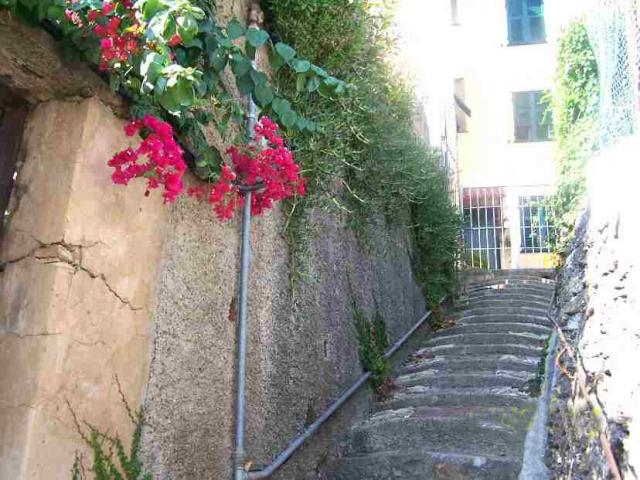 Photos for house 510065