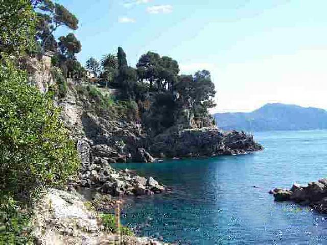 Photos for house 510065