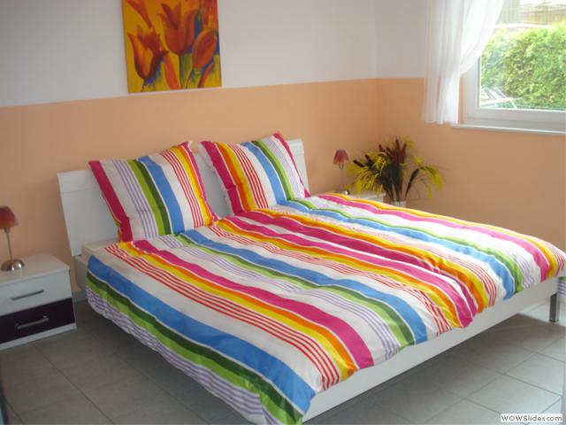 Photos for house 510077