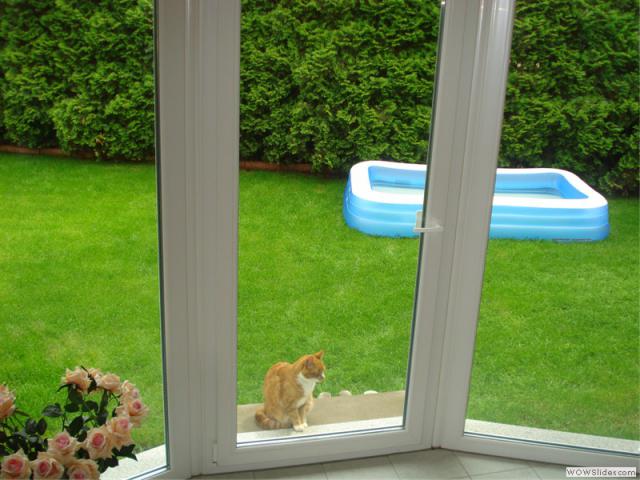 Photos for house 510077