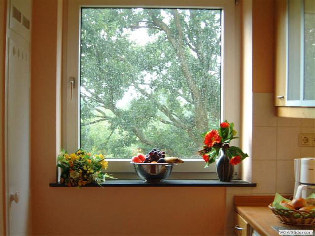 Photos for house 510079