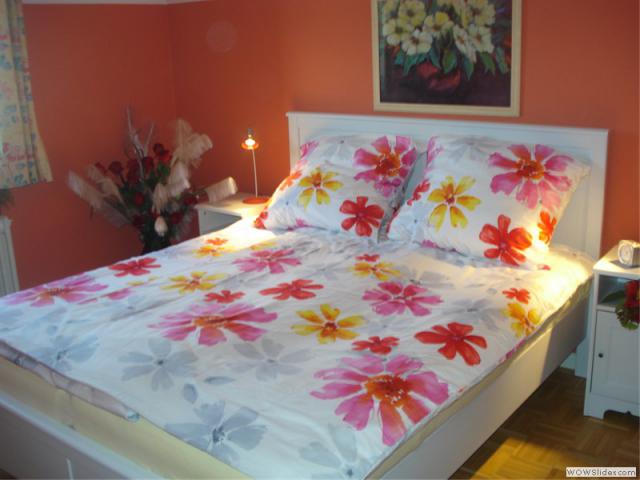 Photos for house 510079