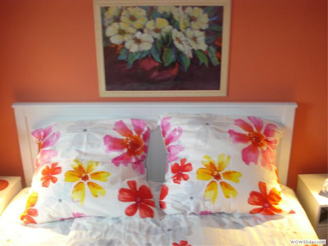 Photos for house 510079