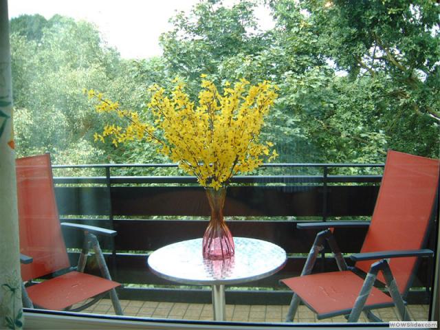 Photos for house 510079