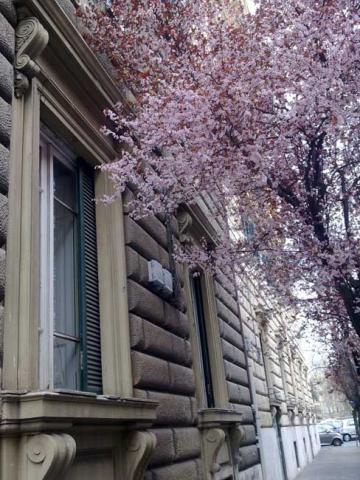 Photos for house 510843