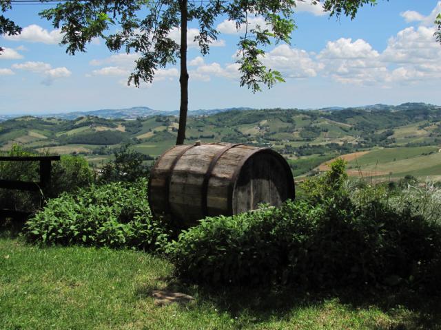 Photos for house 510876