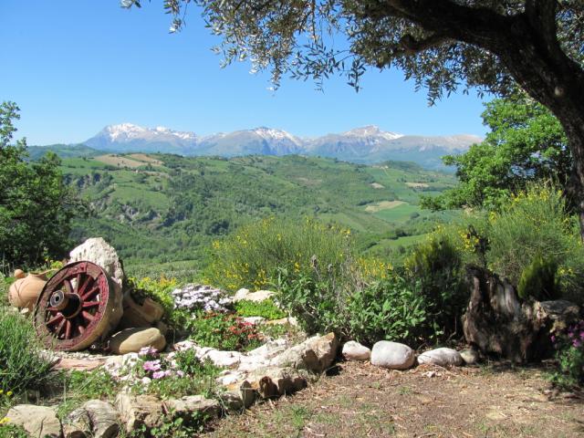 Photos for house 510876