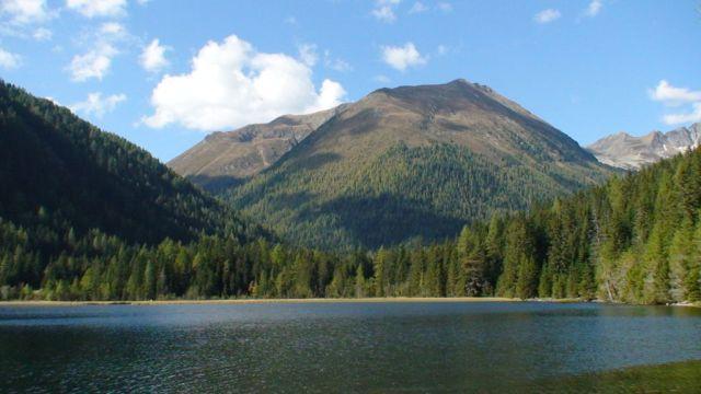 Photos for house 510009