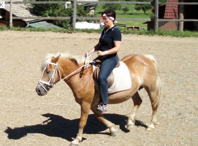 Photos for house 510009