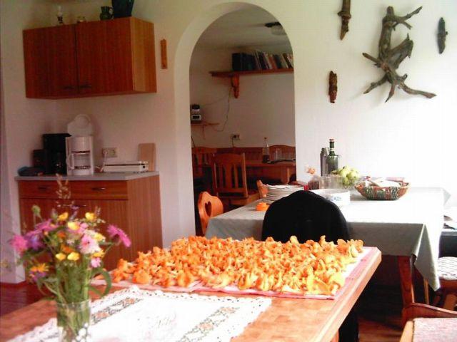 Photos for house 510009