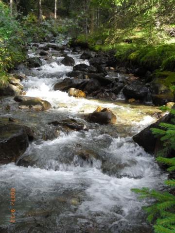 Photos for house 510009