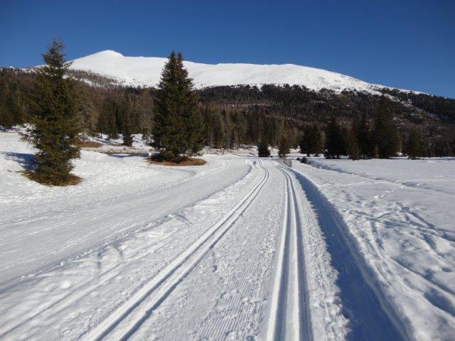 Photos for house 510009