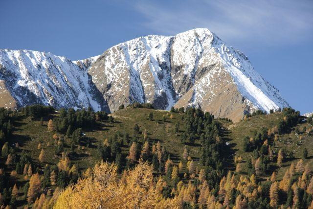 Photos for house 510009