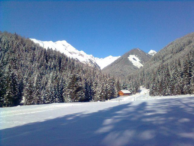 Photos for house 510009