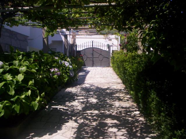 Photos for house 60889