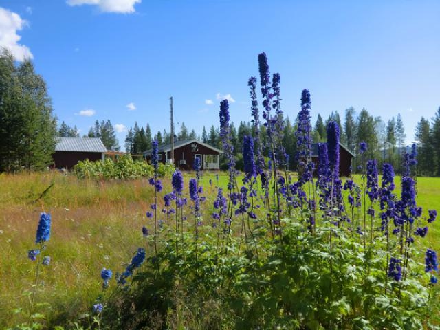 Photos for house 638265