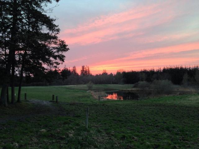 Photos for house 638340