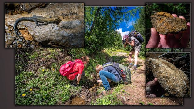 Photos for house 638406