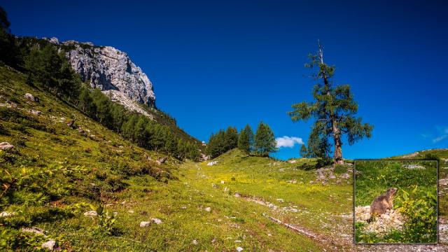 Photos for house 638406