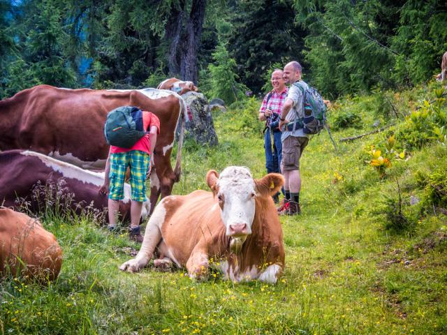 Photos for house 638406