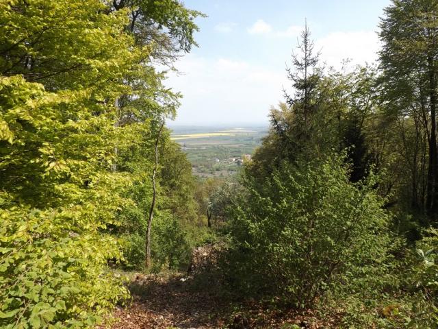 Photos for house 638453