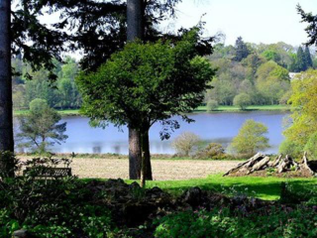 Photos for house 638454