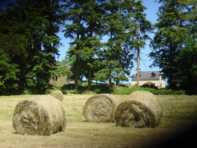 Photos for house 638454