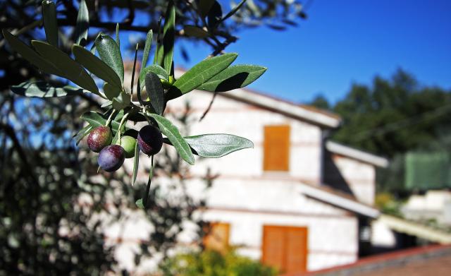 Photos for house 638470