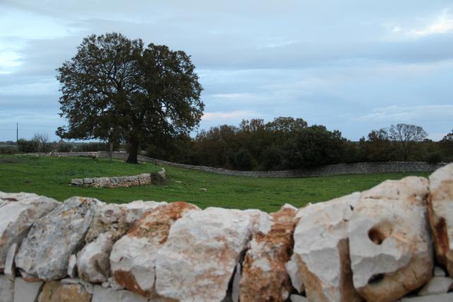 Photos for house 638475