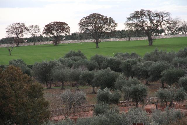 Photos for house 638475