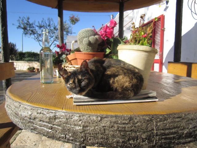 Photos for house 638475