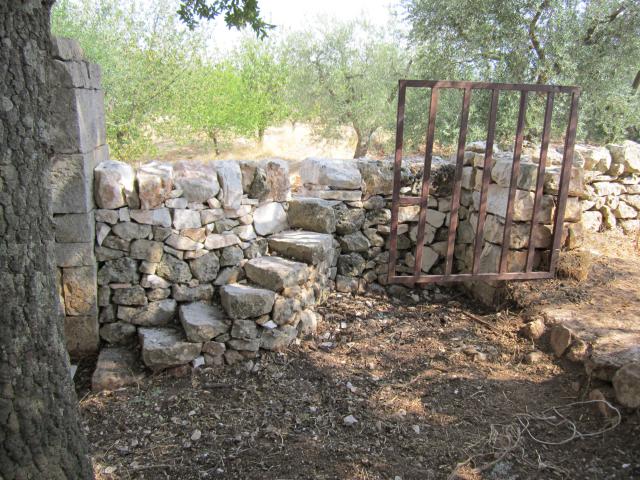 Photos for house 638475