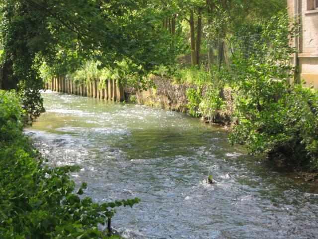 Photos for house 638494