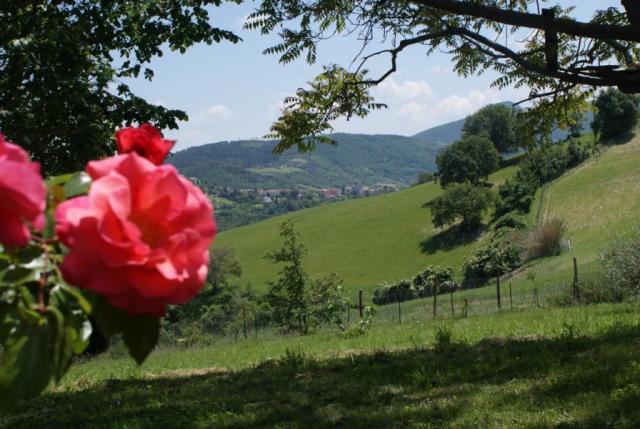 Photos for house 638563