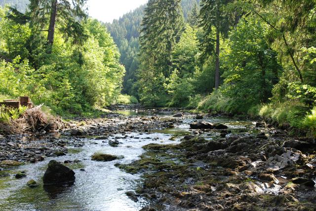 Photos for house 638564