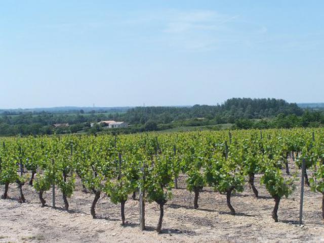 Photos for house 638585