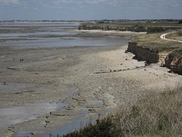 Photos for house 638585