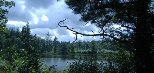 Photos for house 638594