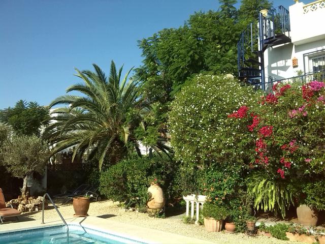 Photos for house 638604