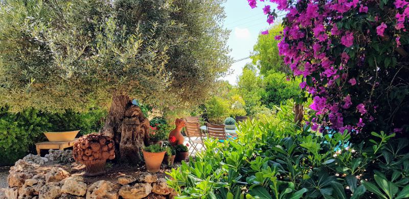 Photos for house 638604