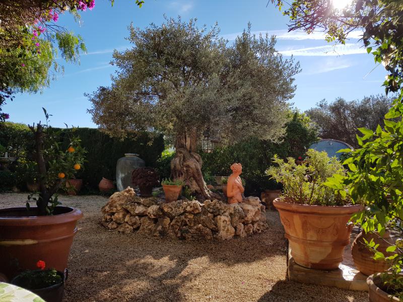 Photos for house 638604