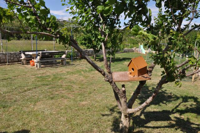 Photos for house 638640