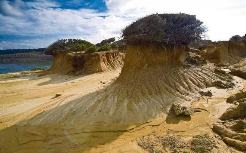 Photos for house 638640