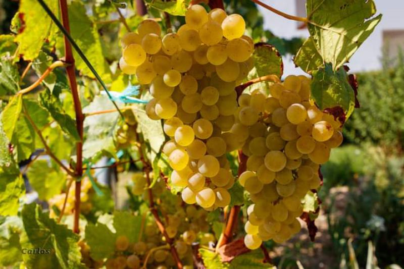 Photos for house 638640