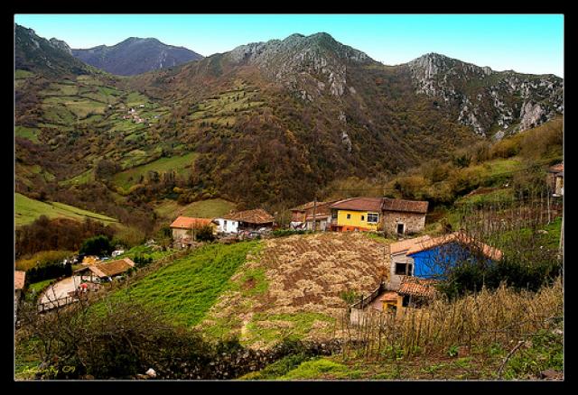 Photos for house 638665