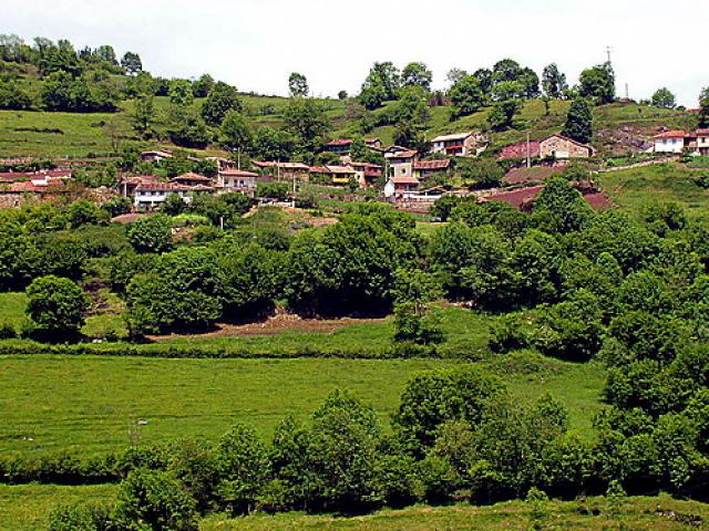 Photos for house 638665